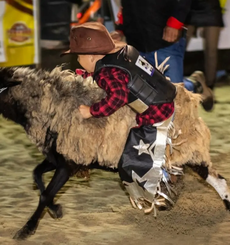 Criança de camisa xadrez e chapéu montada em um carneiro escuro