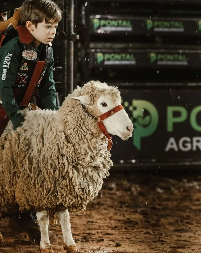 Menino de jaqueta verde ao lado de um carneiro